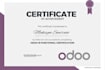 customize and develop new module in odoo erp