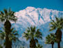 take professional nature photography