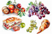 draw watercolor food illustration