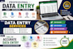 do excel data entry, copy paste, web research and typing