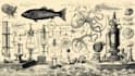 do detailed scientific figures illustrations and diagrams