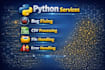 fix your python script bugs or write a simple python program