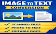 do PDF to word conversion and typing work