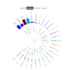 create expert level data visualizations and dashboards