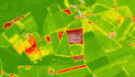 remote sensing analysis, satellite data, ndvi, lulc mapping