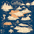 make fantasy map design vector map world map fantasy map