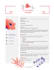 transform your cv into a job winning position