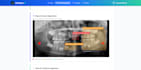 develop a custom web application or business software