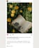 write instagram and tiktok captions for brands