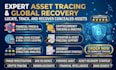 provide professional forensic audit, asset tracing, due diligence