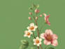 do a botanical illustration