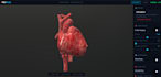 create an interactive 3d medical anatomy viewer