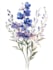 illustrate best botanical illustration