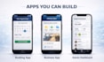 develop a flutter mobile app with firebase integration
