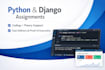 python django assignment expert coding tasks