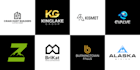 design professional wordmark logo for startup business