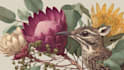 draw an animal and botanical illustration