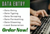 do data entry, copy paste, web research, and excel tasks
