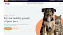 dog walking website pet sitting, pet grooming website on wordpress or wix