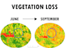 analyze your satellite data using python, qgis or arcgis