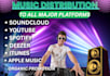 music distribution on spotify deezer itunes and all streaming major platforms