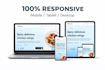 fix HTML CSS responsive issues on your website