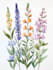 illustrate best botanical illustration