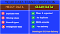 do fast and accurate data entry, excel cleaning, web research and copy paste
