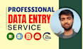 data entry, copy paste, data scraping, email leads, pdf to excel data entry