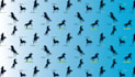 seamless pattern design and vector pattern