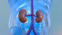 do 3d medical animation cardiac flow therapy 3d moa educational explainer video