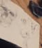 teach you beginner drawing and sketching
