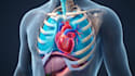 create professional 3d medical animation, surgical animation, scientific visuals