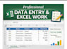 do accurate data entry and excel work