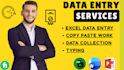 be your virtual assistant for data entry, typing, copy paste and web research