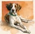 create custom pet portraits