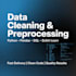 clean and preprocess your dataset using python and pandas