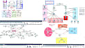 do cisco packet tracer ccna projects, ospf,vlan,acl,dhcp,dns,troubleshooting