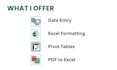 do excel data entry formatting and pivot tables