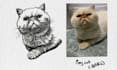 turn your animal into a linocut illustration