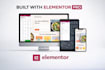 build a fast and seo friendly wordpress site using elementor