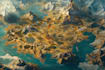 do fantasy maps and city maps