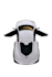professional background removal and manually clipping path and retouch