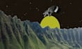 design unique collage animation, mixed media and motion graphics