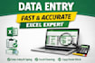 do data entry, file conversion, logo placement and others