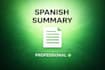 summarize your audio or text in spanish clearly and accurately