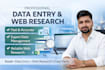do fast and accurate data entry, excel data entry and copy paste
