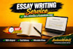 professional academic writing, essays, assignments