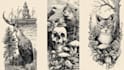 create hand drawn illustrations