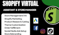 shopify virtual assistant store manager ebay dropshipping manager shopify va